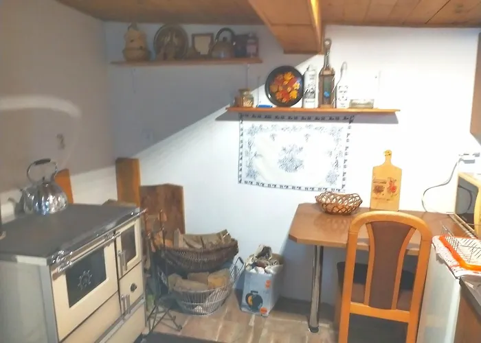 Drevenica Viki 1