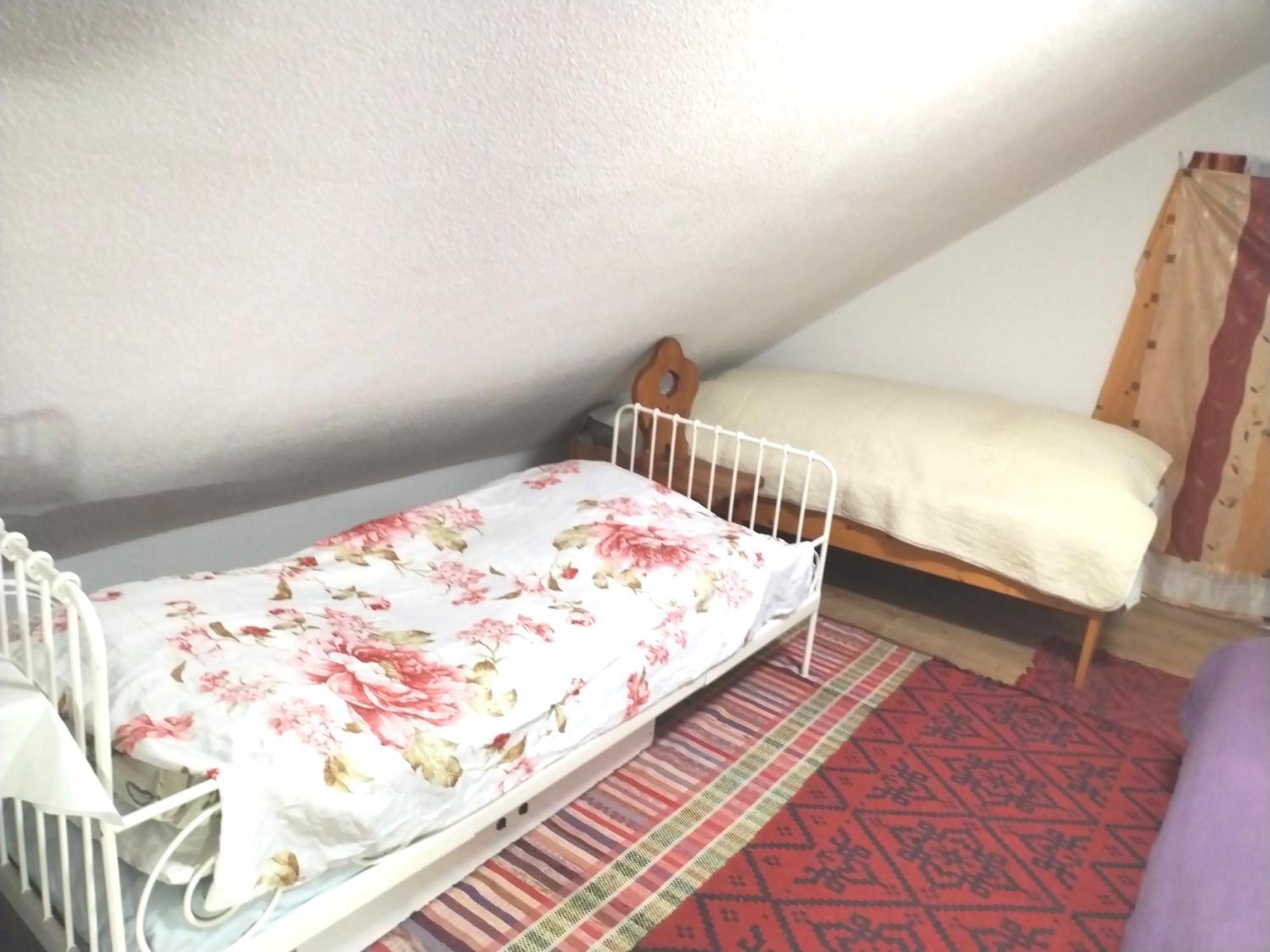 Drevenica Viki 1 *